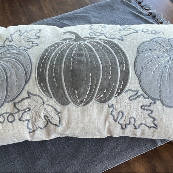Hobby Lobby Gray Pumpkin Accent Pillow - Picture 1 of 1